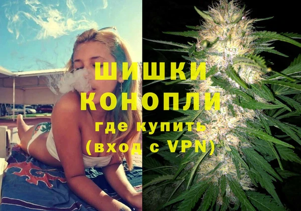 крисы Магадан