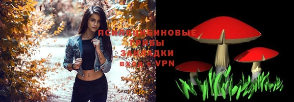 крисы Магадан